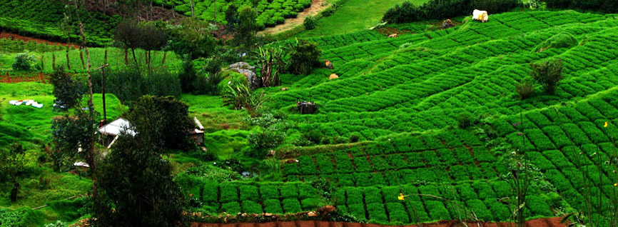 kotagiri valley view