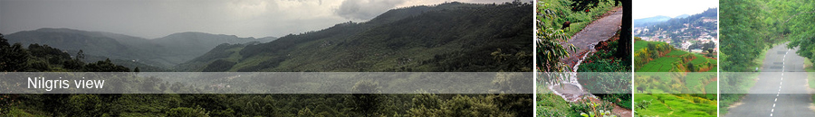 Ooty Kotagiri attractions Homestay Kotagiri cottage