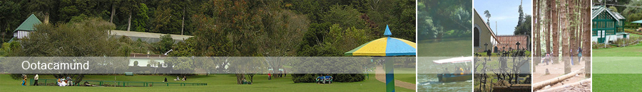 Tour Packages Kotagiri Homestay in Kotagiri